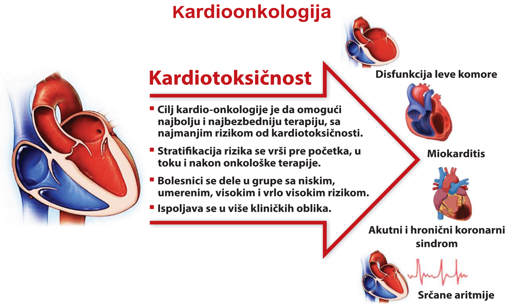 aktivnosti